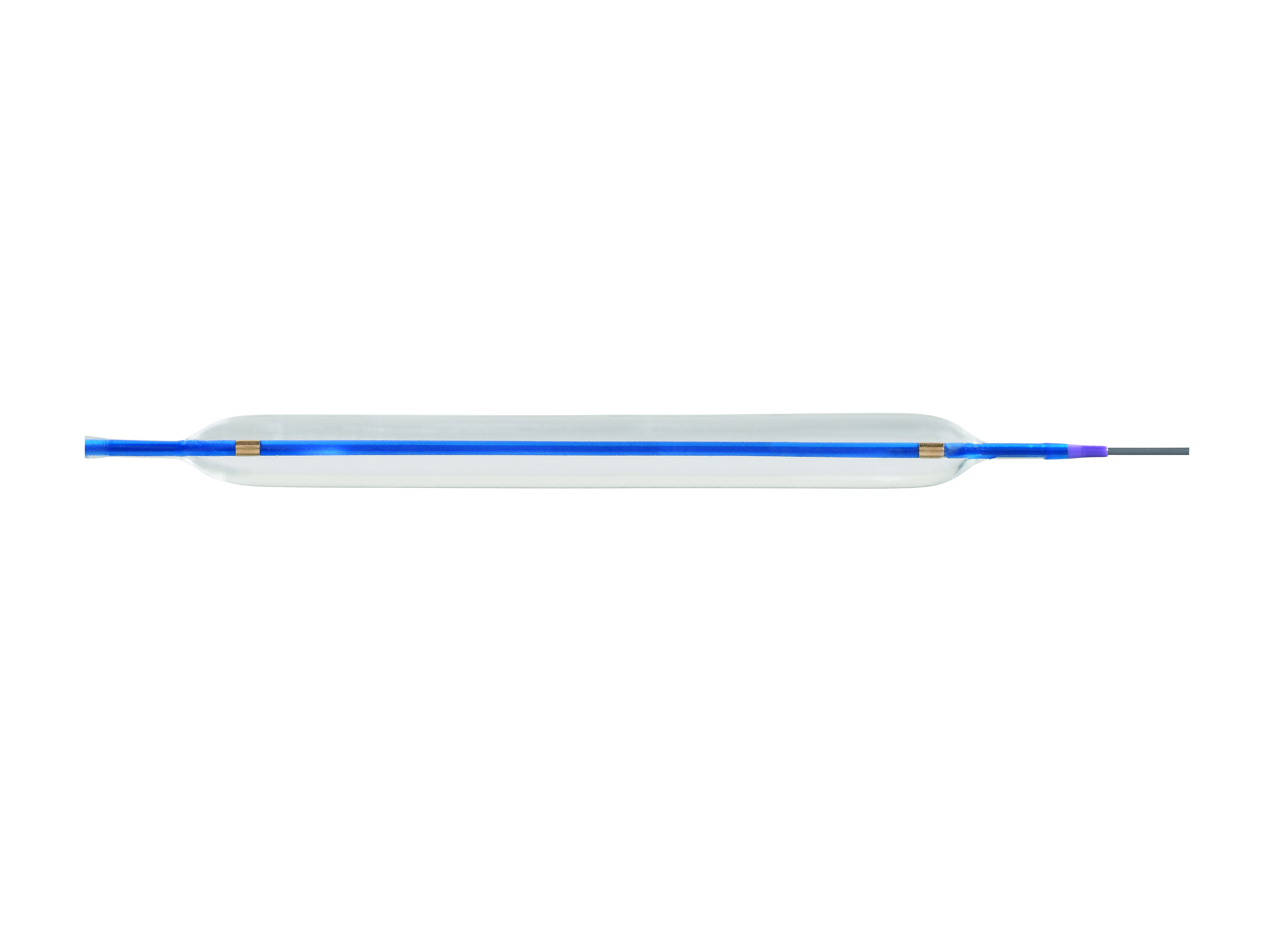The Sterling Monorail Balloon Dilatation Catheter from Boston Scientific. 2013 Boston Scientific Corporation or its affiliates. All rights reserved. Used with permission of Boston Scientific Corporation.